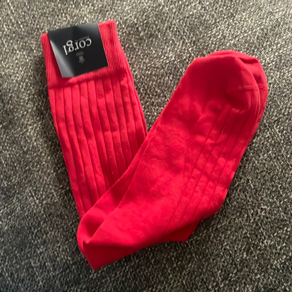 NWT Corgi Socks
